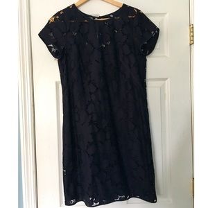 LOFT Navy Blue Lace Shift Dress, Size 6